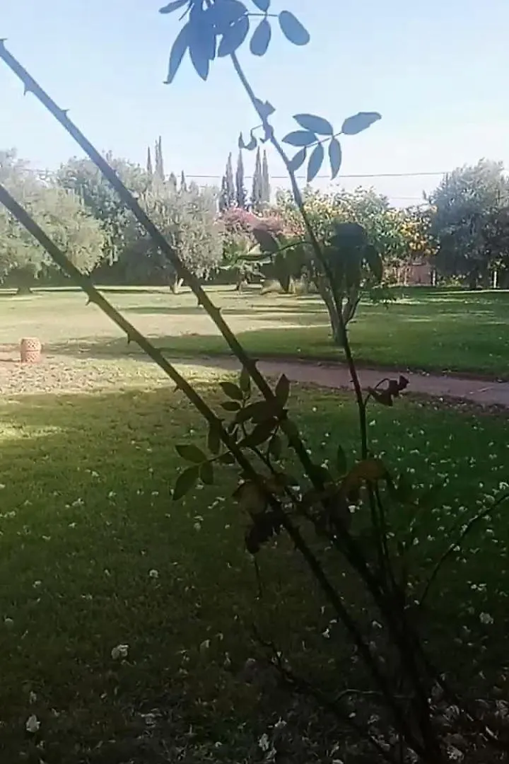 Les Oliviers Villa Marrakesh 0*,  Morocco